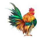 bright realistic cock drawn white background art 91327330.jpg from cock@