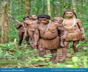 group naked papuan korowai tribe wild jungles jungle rainforest irian jaya new guinea indonesia may new guinea 78299961.jpg from tribal naked photo