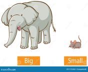 opposite adjectives words big small opposite adjectives words big small illustration 211316063.jpg from 10 to 13 very small little sexxxxxxxxxxxxxxxxxxx xxxxxxxxxxxxxxxxxxxxxxxxxxxxxxxxxxxxxxxxxxxxxxxxxxxxxxxxxxxxxxxxxxxxxxx