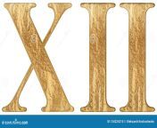 roman numeral xii duodecim twelve isolated white background d render 134224210.jpg from xii9