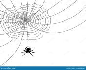 spider web ai file 1217403.jpg from web