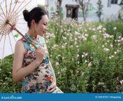 asian pregnant woman chinese traditional cheongsam chi pao sit grass lawn nature sunshine sunset day enjoy free relaxed 184018783.jpg from chinese preg