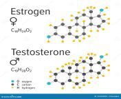 estrogen testosteron hormones vector chemical formulas male female steroid molecular model 142203080.jpg from hormones jpg