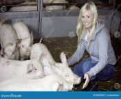female piglets smiling blonde animal box 30595229.jpg from sexy farm plays with piglets