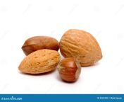 four nuts 2523320.jpg from 2523320 jpg
