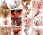 337 1000.jpg from different types of pussy