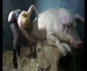 59ceb284ee868 mp4 6b.jpg from horny boar sex vs women sex video com
