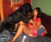 5d11c0bc97aceanimal sex beastiality porn 866 mp4 5b.jpg from xxxdog and lady