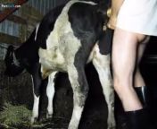 5cc713afc25f1cow fick film mp4 3b.jpg from janvr sex with x