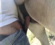 5e86ee38ddc76fucking mare mp4 3b.jpg from men fuck mare pussy pic