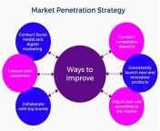 thqmarket penetration strategy case study from electrician sexawan naked penis