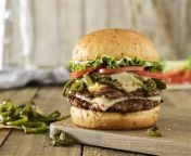 thqsmashburger and jack annie s launch plant based jackfruit burger from dolcett meat processing plant pornx aa a
