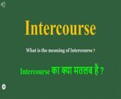 thqintercourse in hindi from 1ass net 3gp