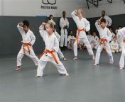 thqkarate class june 27 | metro karate jiu jitsu academyw1200h1200c100rs2qlt100cdv3pidimgdetmain from turbanli se