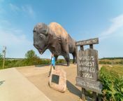 north dakota roadside attractions largest buffalo.jpg from in nd