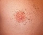 220px human nipple.jpg from uting susu