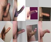 320px erection angle and shape of penises.jpg from penis boner
