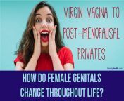 virgin vagina to post menopausal privates how do female genitals change throughout life.jpg from pre vagina