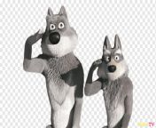 png transparent masha gray wolf character animated film masha dog like mammal siberian husky snout.png from masha siberiano