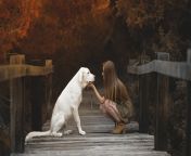 dog and girl looking each other cwujkoagryg6a44z.jpg from dogandgirlessex
