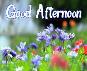 good afternoon pictures c2uqulknocyiobj9.jpg from goodafternoon