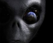 aliens 03.jpg from alien