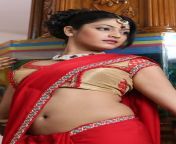 hd wallpaper haripriya kannada actress saree beauty navel.jpg from kannada saree x