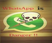 hd wallpaper whatsapp whatsapp love whatsapp is danger danger.jpg from æµæ±é«é¢æè³ï¼whatsapp
