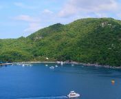 hd wallpaper island paradise beautiful blue bost forest green haiti sea water.jpg from mar bost