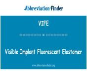 vife visible implant fluorescent elastomer.png from vife