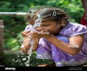 indian girl drinking from a communal water tap in rural indian village cyc8ce.jpg from indian drinking andrea village h