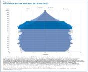 2020 census united states older population grew figure 2.jpg from oldage in america with 60 oldman