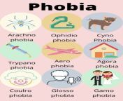 list of phobia with their meanings.jpg from phroba