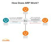 how does arp work.png from desi arp