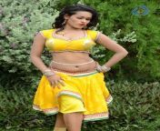 actress nisha hot stills 0709140735 0099.jpg from tamil actress nisha kg