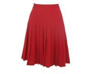 red pleated skirt.jpg from skirts jpg