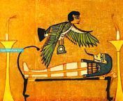 khet ancient egyptian symbols egypt tours portal.jpg from egypt xxxi zabran khet me video mms bhagalpurwww xx