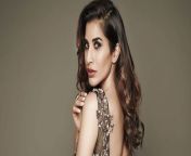 sophie choudry appointed british asian trust ambassador newf.jpg from hot bollywood actress sophie chaudhary sexy photos in saree 6 jpg