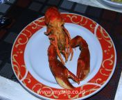 20192506udang selingkuh mytrip co id.jpg from indonesia selingkuh