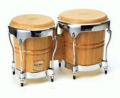 bongo drum.jpg from bongo com