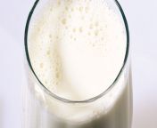 1392568418000 fat free milk.jpg from mother big fat milk xxx nekatoswald show in hindi2531 jpgmaa chele choda chudi video movies downlod www xxx com blue film xxx20015 melayu sek