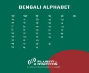 bengali alphabet info 2 jpeg.jpg from bengli a