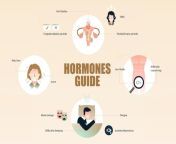 hormones guide.jpg from hormones jpg