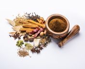 indian garam masala powder colourful spices selective focus scaled.jpg from garam prity