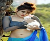 04 sony charishta latest hot photo shoot in saree hd photos stills gallery images.jpg from hot in hd