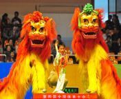 northern chinese lion.jpg from www xxx china coming leon bf sarathfr