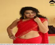 sizzling red hot photos of ankeeta in saree exposing her sexy waist and navel set 111.jpg from eta means telugu photos sexy sex