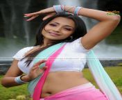 trisha flaunting her hot midriff and navel in a sexy low hip saree1.jpg from actress hot low h