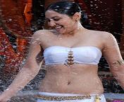 south indian actress wet saree hot navel photos11.jpg from wet saree navel