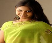 tamil actress madhu hot saree hot stills1.jpg from tamil actress madhu aunty hot